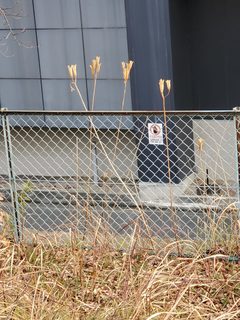 20200117_093007.jpg