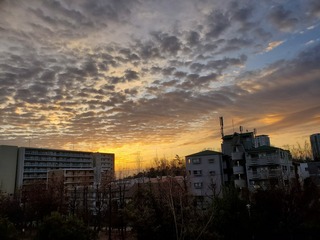 20200125_070913.jpg