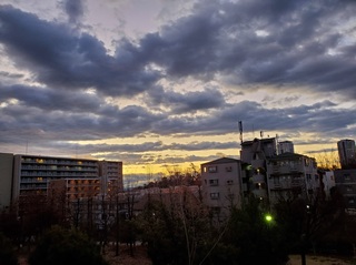 20200128_064927.jpg