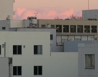 IMG_4213.jpg