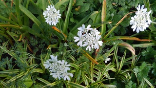 KIMG0861.JPG