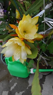 KIMG0864.JPG